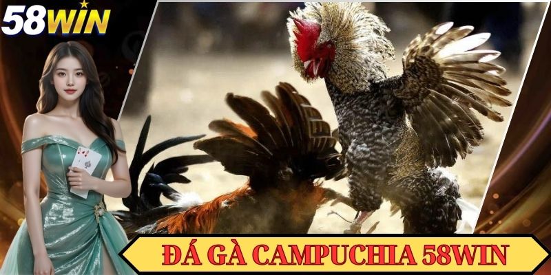 Đá Gà Campuchia 58WIN - Siêu Phẩm Đổi Thưởng Tiền Tỷ Hấp Dẫn