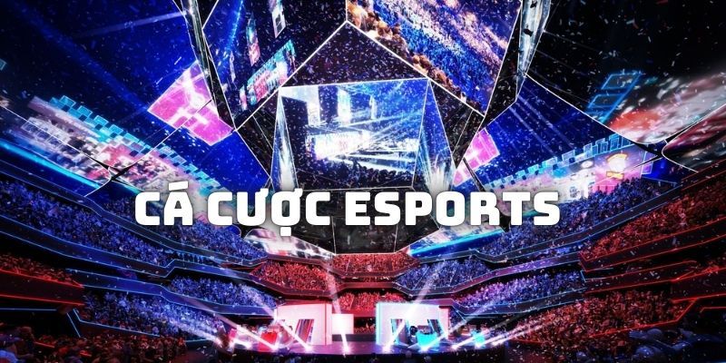 Game Esport Là Gì- Giải Đáp Mọi Thắc Mắc Của Người Chơi