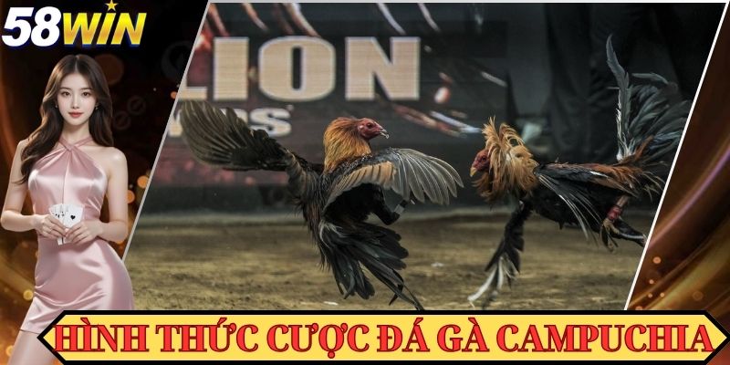 Đá gà cựa sắt