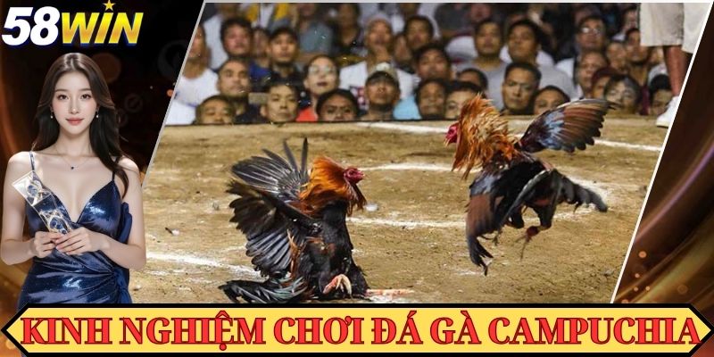 Nắm bắt tốt thời cơ để đặt cược giúp bạn dễ thắng thưởng hơn